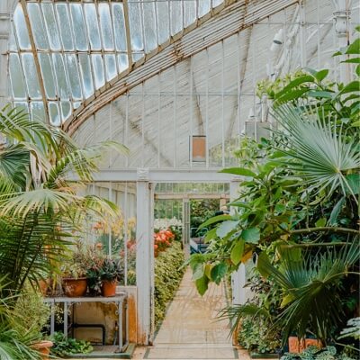 a greenhouse full of small trees and many flowers.